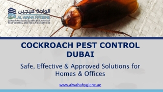 cockroach pest control dubai safe effective