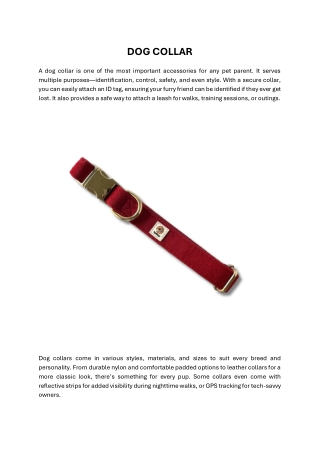 Dog Collar