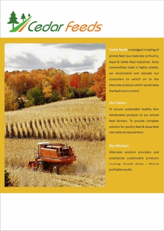 Top Chicken Meal and Poultry Meal Suppliers