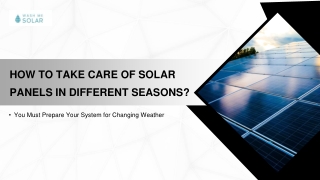 How to Take Care of Solar Panels in Different Seasons?