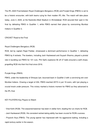 IPL_2025_Final_Blog