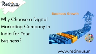 Rednirus Digital Media, A Best Digital Marketing Agency in India