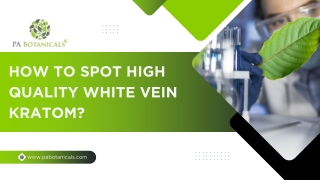 How To Spot High Quality White Vein Kratom?