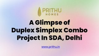 A Glimpse of Duplex Simplex Combo Project In SDA, Delhi