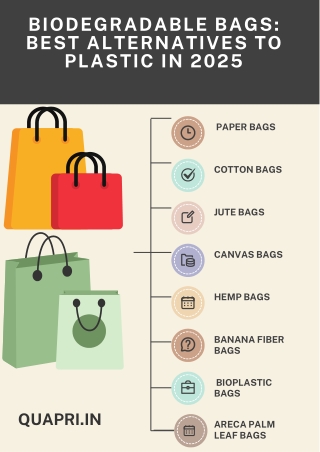 Biodegradable Bags Best Alternatives to Plastic in 2025