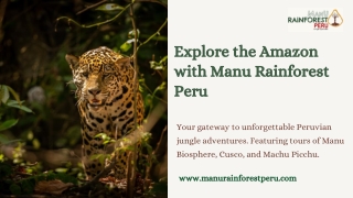 Why Manu Rainforest Peru’s Amazon Expedition Should Be Your Next Journey