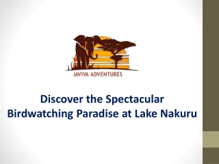 Discover the Spectacular Birdwatching Paradise at Lake Nakuru