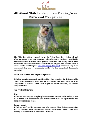 All About Shih Tzu Puppies Finding Your Purebred Companion