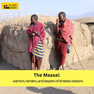 the maasai