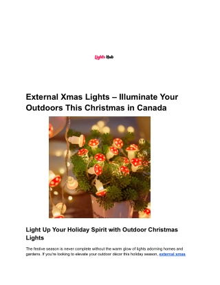 Durable Outdoor Christmas Lights for Festive Décor