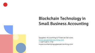 Blockchain Technology in Small Business Accounting