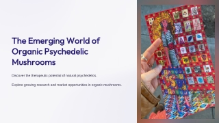the emerging world of organic psychedelic