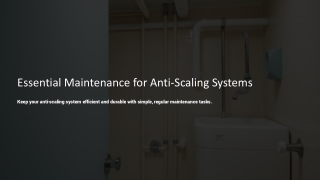 What kind of maintenance does an anti-scaling system require?