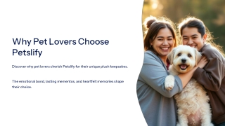 Why Pet Lovers Choose Petslify?