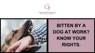 Bitten by a Dog at Work Know Your Rights.