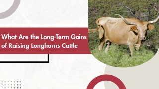 Heritage Cattle with Proven Economic Benefits