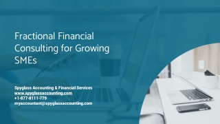 Fractional Financial Consulting for Growing SMEs