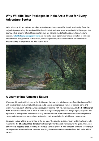 Why Wildlife Tour Packages in India Are a Must for Every Adventure Seeker