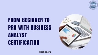 From Beginner to Pro with Business Analyst Certification