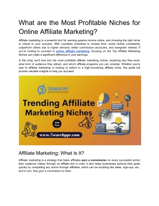 What are the Most Profitable Niches for Online Affiliate Marketing?