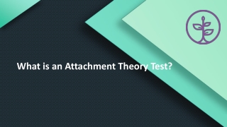 What is an Attachment Theory Test?
