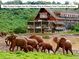 Why Luxury Lodges Are the Ultimate Way to Enhance Your Vacation Experience