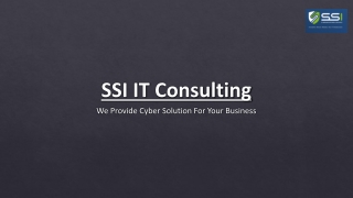 ssi it consulting