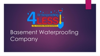 Basement Waterproofing Company Secrets Most Contractors Won't Tell You
