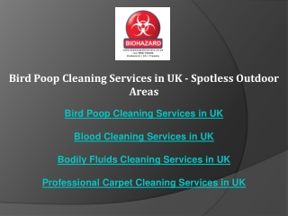 Bird Poop Cleaning Services in UK - Spotless Outdoor Areas