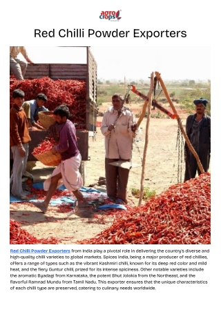 Red Chilli Powder Exporters