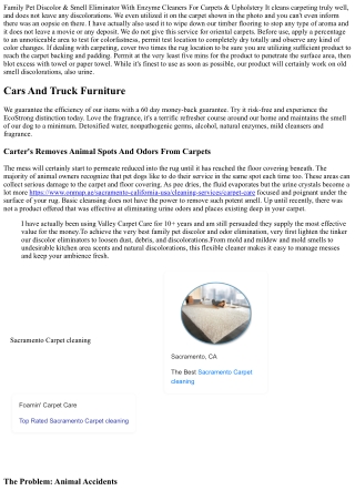 Family Pet Discolor Carpeting Cleaner