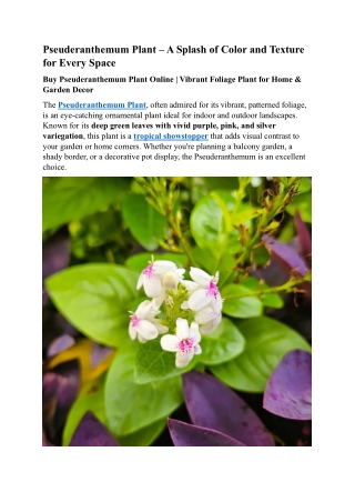 pseuderanthemum plant a splash of color