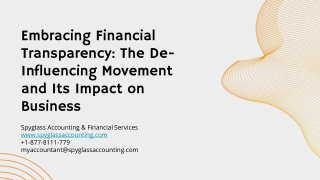 Embracing Financial Transparency_ The De-Influencing Movement and Its Impact on Business