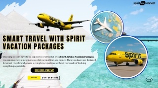 Smart Travel with Spirit Vacation Packages