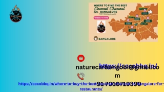 Where to Buy the Best Coconut Charcoal in Bangalor