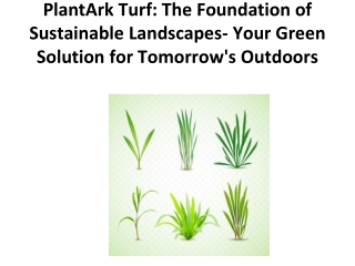 PlantArk Turf The Foundation of Sustainable Landscapes