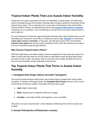 Tropical Indoor Plants That Love Aussie Indoor Humidity