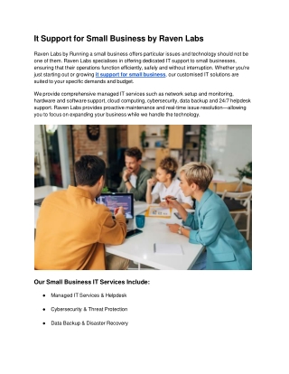 It Support for Small Business by Raven Labs