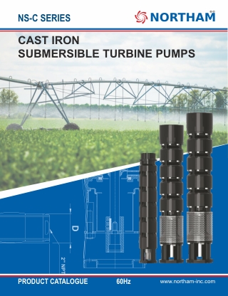Cast Iron Submersible Turbine Pumps In USA - Northam-Inc