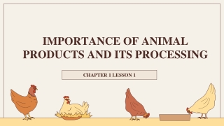 importance of animal products and its processing