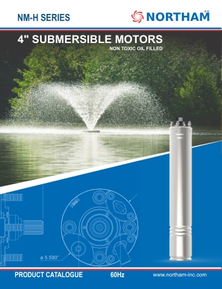 4″ Non Toxic Oil Filled Submersible Motors - Northam-Inc