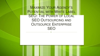Maximize Your Agency’s Potential with White Label SEO The Power of Local SEO Outsourcing