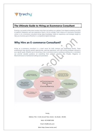 The Ultimate Guide to Hiring an Ecommerce Consultant