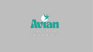 Avian Global June 2025