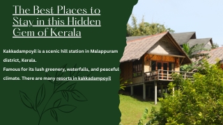 Resort Nature’s Escape: A Serene Retreat in the Hills