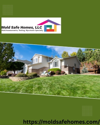 Affordable Mold Inspection in Florida – Mold Safe Homes