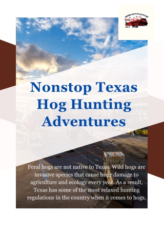 247 Unlimited Hog Hunting Adventures in Texas