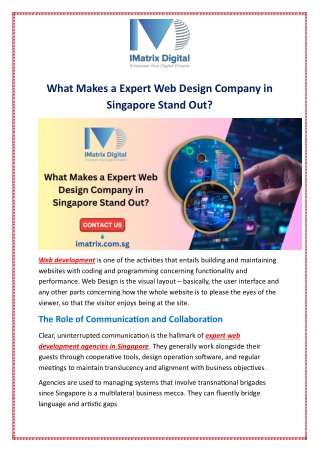 What Makes a Expert Web Design Company in Singapore Stand Out?