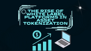 The Rise of White Label Platforms in Asset Tokenization