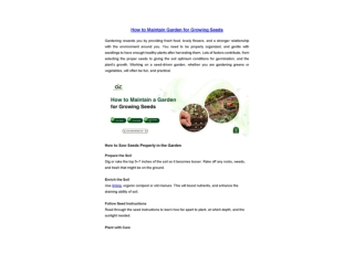 How to Maintain Garden for Growing Seeds